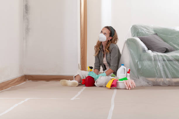 Trusted Crawl Space Mold Removal service in Markleton, PA - WQB Mold Removal