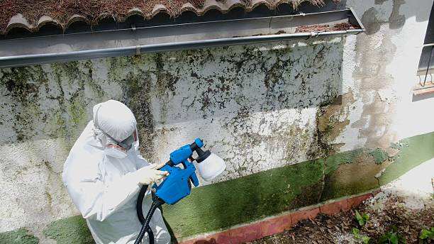 Top rated local Crawl Space Mold Removal specialists in Markleton, PA